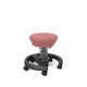 Aeris&#x20;Swoppster